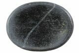 1.5" Polished Pyrite Worry Stones - Photo 2